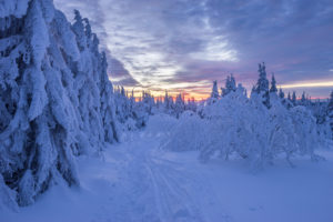 Germany, Lower Saxony, Harz National Park, snowy landscape in the Harz National Park Germany, Lower Saxony, Harz National Park, snowy landscape in the Harz National Park