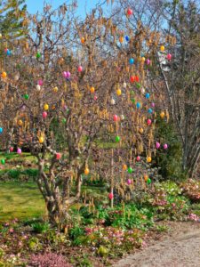 Germany, Bavaria, Germering, garden, easter tree, spring Germany, Bavaria, Germering, garden, easter tree, spring