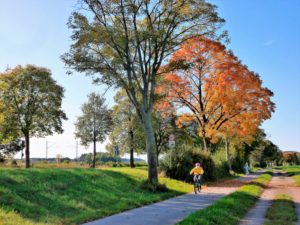 Germany, Bavaria, Germering, bike path at the Bodenseestraße, cyclists, autumn Germany, Bavaria, Germering, bike path at the Bodenseestraße, cyclists, autumn