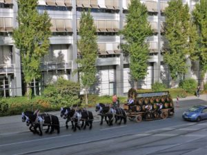 Germany, Bavaria, Munich, Oktoberfest, Augustiner-Harness, drive home, Landsberger Straße Germany, Bavaria, Munich, Oktoberfest, Augustiner-Harness, drive home, Landsberger Straße