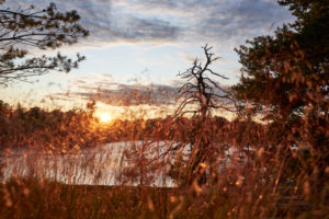 Schweden, Östergötaland, St. Anna, Schärengarten, Ostsee, Abendstimmung Schweden, Östergötaland, St. Anna, Schärengarten, Ostsee, Abendstimmung