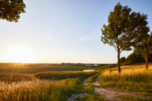 Germany, Mecklenburg-West Pomerania, landscape, dirt road, evening Germany, Mecklenburg-West Pomerania, landscape, dirt road, evening