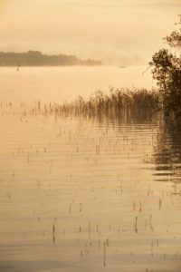 Deutschland, Mecklenburg-Vorpommern, Schwerin, Schweriner See, Morgenstimmung Deutschland, Mecklenburg-Vorpommern, Schwerin, Schweriner See, Morgenstimmung