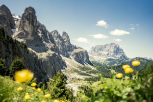 Gardena pass, Sassolungo and Sella group Gardena pass, Sassolungo and Sella group