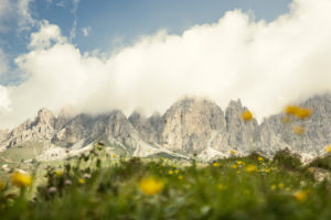 Grödner Joch Grödner Joch