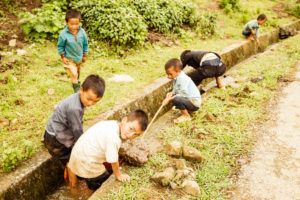 Children, rice fields, Vietnam Children, rice fields, Vietnam