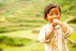 Rice fields, children in Vietnam Rice fields, children in Vietnam