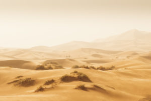 Sahara, Morocco Sahara, Morocco