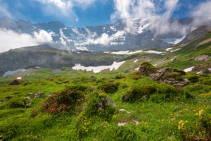 Flower-covered high alpine meadow with mountain massif in the background