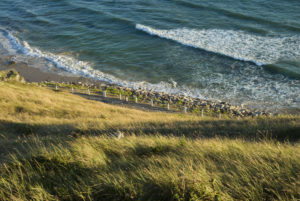 high tide at Carteret, Manche, Normandy, France