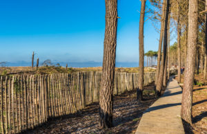 France, New Aquitaine, Arcachon Bay, Petit Nice beach, sand fences (ganivelle) against erosion