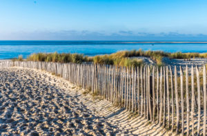 France, New Aquitaine, Arcachon Bay, Petit Nice beach, sand fences (ganivelle) against erosion