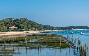 France, New Aquitaine, Arcachon Bay, Cap Ferret, oyster farming at low tide