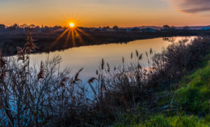 France, New Aquitaine, Arcachon Bay, La Teste de Buch, Bordes salt marsh and oyter port of the Rocher