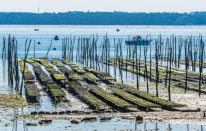 France, New Aquitaine, Arcachon Bay, Cap Ferret, oyster farming at low tide