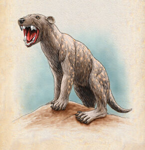 Thylacoleo carnifex, also called the marsupial lion, was the largest carnivorous marsupial in Australia. This fearsome predator could measure 5 feet (1. 5 m) in length. 