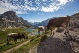 Italien, Südtirol, Dolomiten, Drei Zinnen Italien, Südtirol, Dolomiten, Drei Zinnen