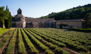 France, Alpes-de-Haute-Provence, Gordes, Notre-Dame de Sénanque France, Alpes-de-Haute-Provence, Gordes, Notre-Dame de Sénanque