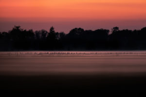 Germany, Saxony-Anhalt, Altmark Germany, Saxony-Anhalt, Altmark