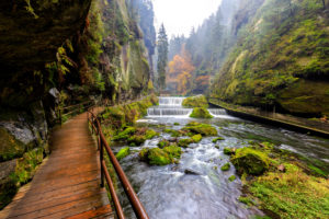 The Kamnitz Gorge in Saxon switzerland national park The Kamnitz Gorge in Saxon switzerland national park