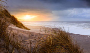 Beach near Hvide Sande at a sunny afternoon in January Beach near Hvide Sande at a sunny afternoon in January
