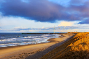 Dunes at Hvide Sande beach Dunes at Hvide Sande beach