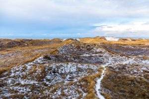 Dunes at the Lyngvig Fyr Dunes at the Lyngvig Fyr