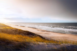 Dunes at Hvide Sande beach Dunes at Hvide Sande beach