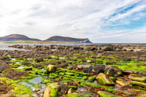 A rocky beach near Stromness A rocky beach near Stromness