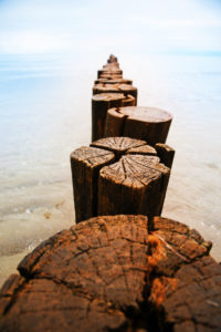 Groyne at Baltic Sea, Zingst Groyne at Baltic Sea, Zingst