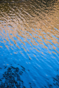 water in National Park Harz water in National Park Harz