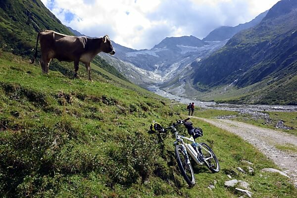 fahrrad schutzblech halterung ROCKBROS bicycle luggage rack with reflector and mudguard aluminum   ROCKBROS-DE