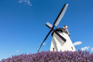 The Dutch windmill in ≈rsdale (built in 1877), Europe, Denmark, Bornholm, The Dutch windmill in ≈rsdale (built in 1877), Europe, Denmark, Bornholm,