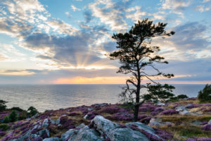 Europe, Denmark, Bornholm. Sundown over the Baltic Sea, in frontof the moor-covered steep coast south of Hammershus. Europe, Denmark, Bornholm. Sundown over the Baltic Sea, in frontof the moor-covered steep coast south of Hammershus.