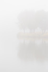 Europe, Germany, Lower Saxony, Otterndorf. Dense sea fog hides the pastures, which are reflected in the lake. Europe, Germany, Lower Saxony, Otterndorf. Dense sea fog hides the pastures, which are reflected in the lake.