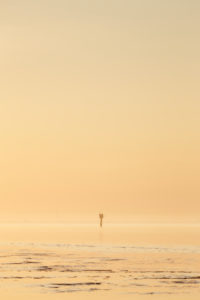 Europe, Germany, Lower Saxony, Otterndorf. Golden evening light shines on the mud flats in front of Otterndorf and the outer Elbe. In the background, Cuxhaven lies in the light fog. Europe, Germany, Lower Saxony, Otterndorf. Golden evening light shines on the mud flats in front of Otterndorf and the outer Elbe. In the background, Cuxhaven lies in the light fog.
