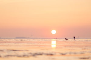 Europe, Germany, Lower Saxony, Otterndorf. In the soft light of the setting sun, a woman walks through the mudflats with her dog. Europe, Germany, Lower Saxony, Otterndorf. In the soft light of the setting sun, a woman walks through the mudflats with her dog.