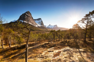 Europe, Norway, Tysfjord, Osen/Sandværet, Hjoerna Europe, Norway, Tysfjord, Osen/Sandværet, Hjoerna