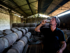 Habitation la Favorite, rum distillery, Franck Dormoy in the rum cellar tasting, distillation with steam engine same as 100 years ago Habitation la Favorite, rum distillery, Franck Dormoy in the rum cellar tasting, distillation with steam engine same as 100 years ago