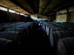 Habitation la Favorite, rum distillery, barrels, distillation with steam engine same as 100 years ago Habitation la Favorite, rum distillery, barrels, distillation with steam engine same as 100 years ago