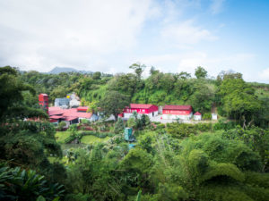 Rhum JM, distillation Rhum JM, production facility Rhum JM, distillation Rhum JM, production facility