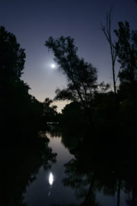 Korneuburg, oxbow lake Krumpenwasser near river Donau, riparian forest, partial moon eclipse in Donau, Niederösterreich, Lower Austria, Austria Korneuburg, oxbow lake Krumpenwasser near river Donau, riparian forest, partial moon eclipse in Donau, Niederösterreich, Lower Austria, Austria