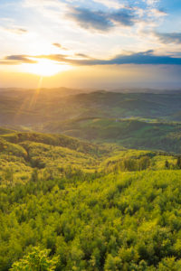 Brand-Laaben, forest of Vienna Woods, farmhouses, meadows, view from summit Schöpfl, Wienerwald / Vienna Woods, Niederösterreich / Lower Austria, Austria Brand-Laaben, forest of Vienna Woods, farmhouses, meadows, view from summit Schöpfl, Wienerwald / Vienna Woods, Niederösterreich / Lower Austria, Austria