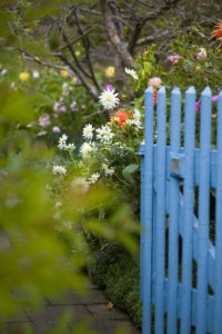 Blue wooden door in the allotment garden Blue wooden door in the allotment garden