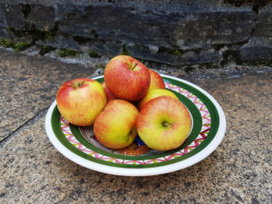 A plate of apples on stone floor A plate of apples on stone floor