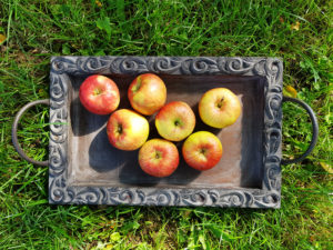 Apples on wooden tray in the grass Apples on wooden tray in the grass