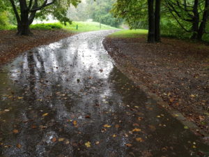 Park in rainy weather Park in rainy weather