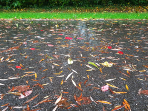 Rainy street with colorful autumn leaves Rainy street with colorful autumn leaves