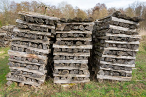 Altes Brennholz liegt auf einer Wiese gestapelt. Altes Brennholz liegt auf einer Wiese gestapelt.