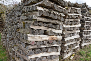 Altes Brennholz liegt auf einer Wiese gestapelt. Altes Brennholz liegt auf einer Wiese gestapelt.